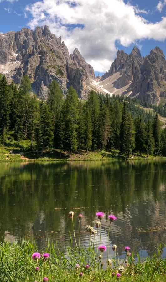 Hotel Il Cardo San Vito di Cadore Exteriér fotografie