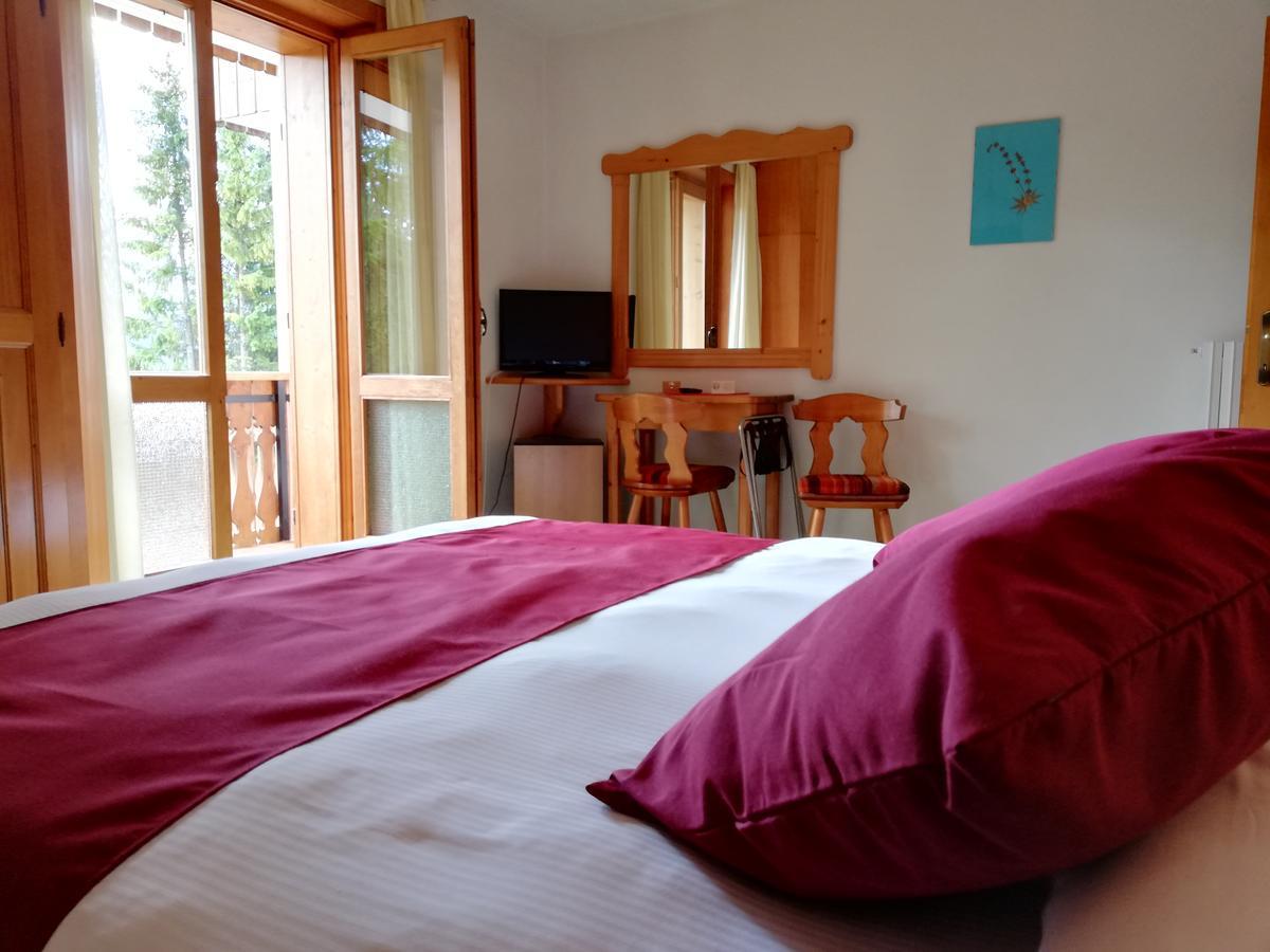 Hotel Il Cardo San Vito di Cadore Exteriér fotografie