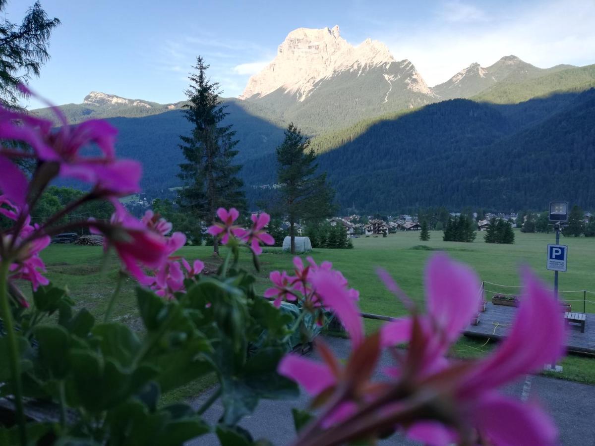 Hotel Il Cardo San Vito di Cadore Exteriér fotografie