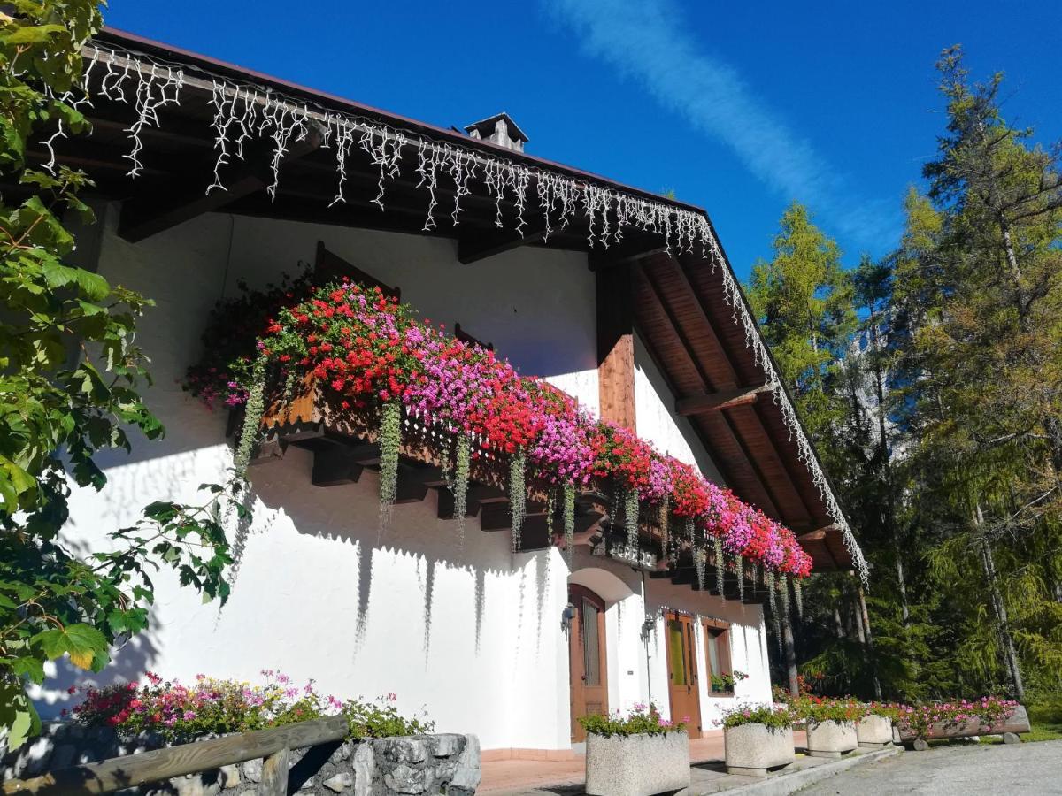 Hotel Il Cardo San Vito di Cadore Exteriér fotografie
